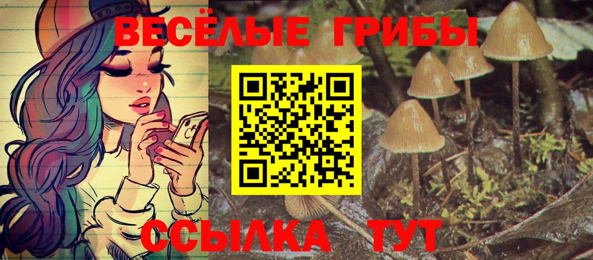 Краснознаменск  Псилоцибиновые грибы Psilocybine cubensis  Вход с VPN 
