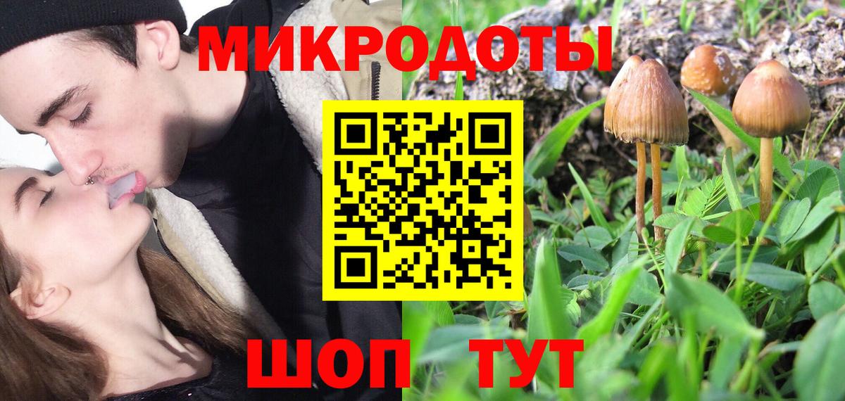 Галлюциногенные грибы GOLDEN TEACHER Краснознаменск